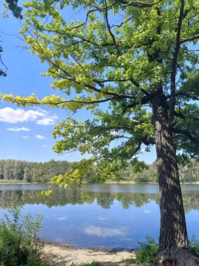 озеро Піщане, Рубіжне