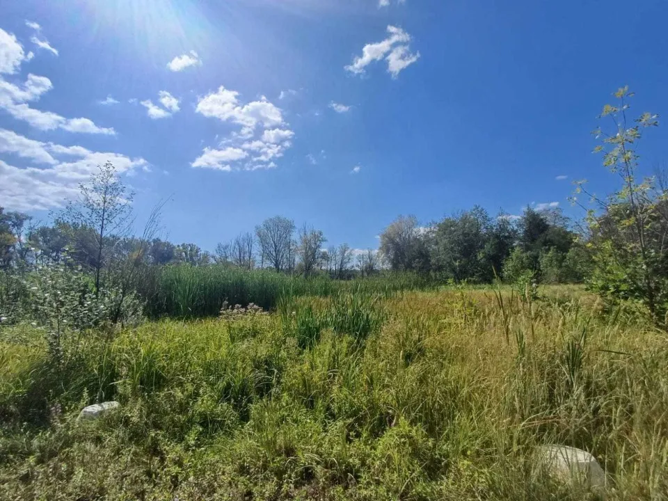 озеро Піщане, Рубіжне