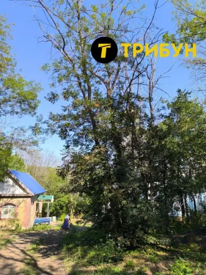 Заповідне урочище Киселева балка на Луганщині: нові фото