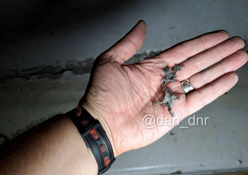 З’явилися подробиці детонації вибухівки, яку знайшли діти поблизу окупованого Донецька