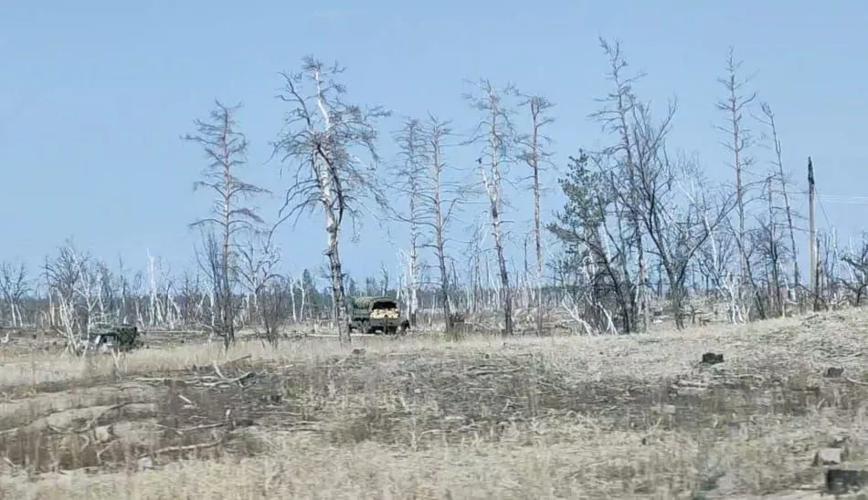 окупанти вивозять спиляну деревину з лісів навколо сєвєродонецька