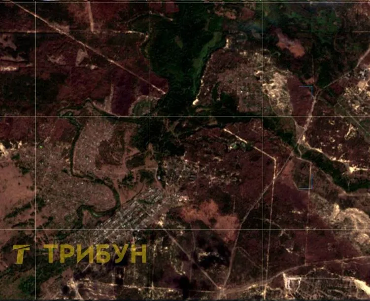 супутникові знімки, які демонструють наслідки масштабної пожежі поблизу селища Щедрищеве
