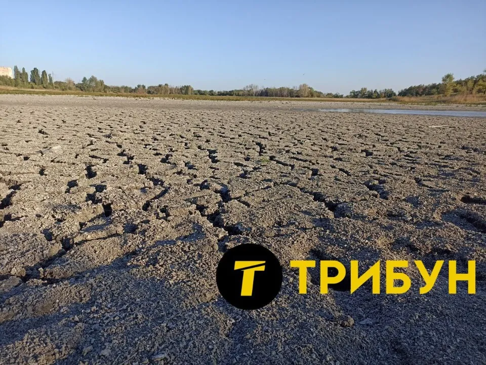 Чисте озеро, Сєвєродонецьк