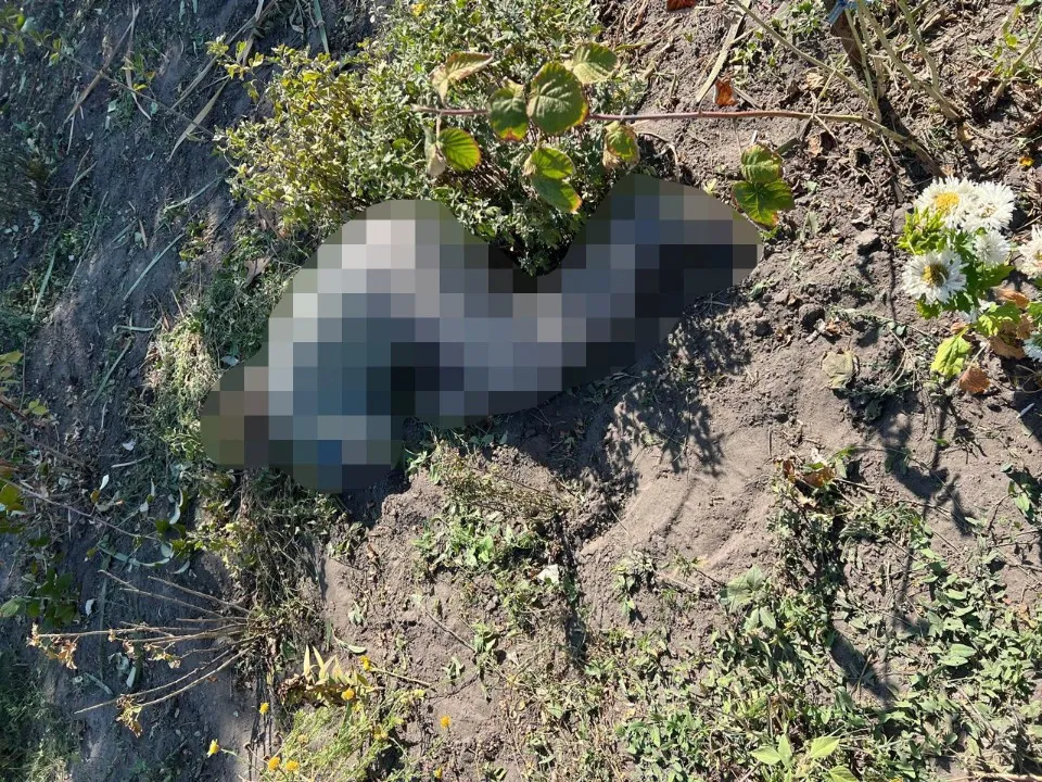 обстріл Донеччини