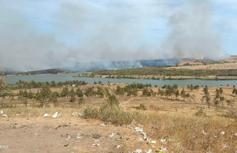 пожежі на луганщині