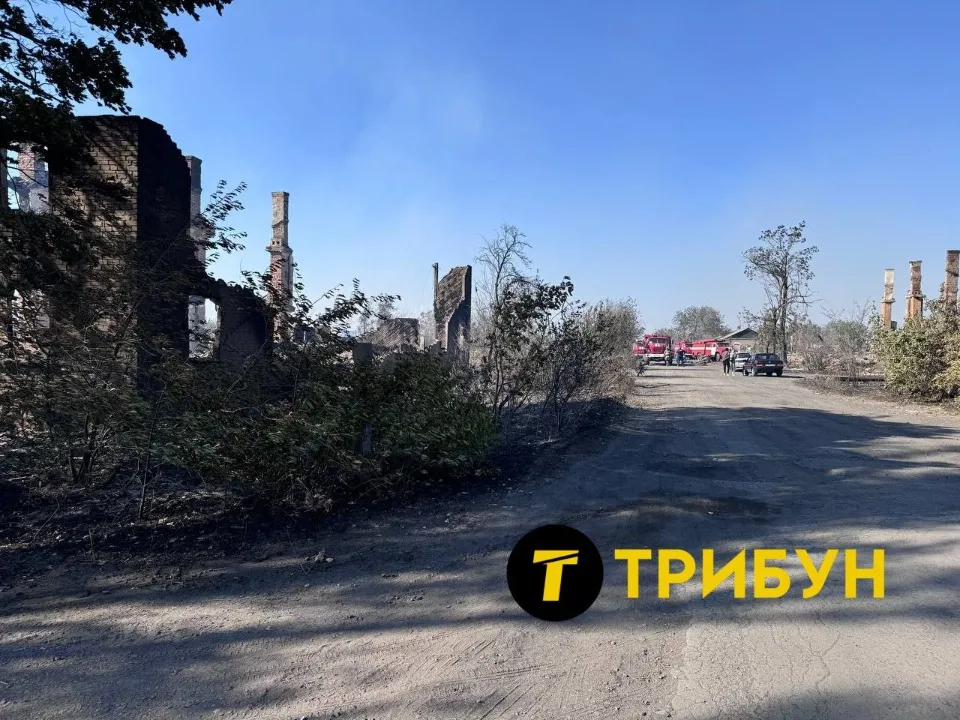 Степове поблизу окупованого Антрацита