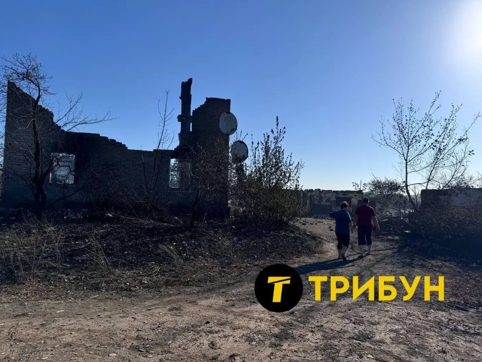 Степове поблизу окупованого Антрацита