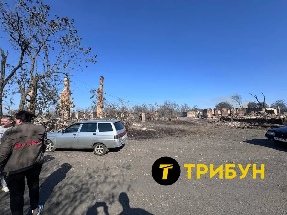 Степове поблизу окупованого Антрацита