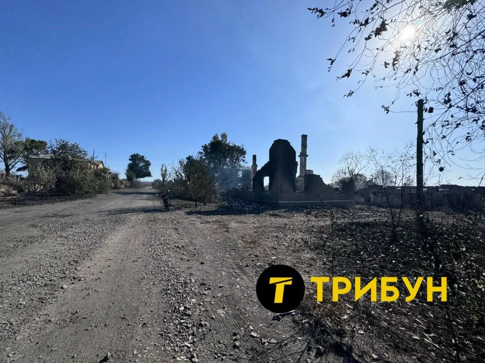 Степове поблизу окупованого Антрацита