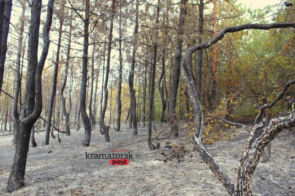 пожежа в Краматорську, горіли дерева на Білянських горах