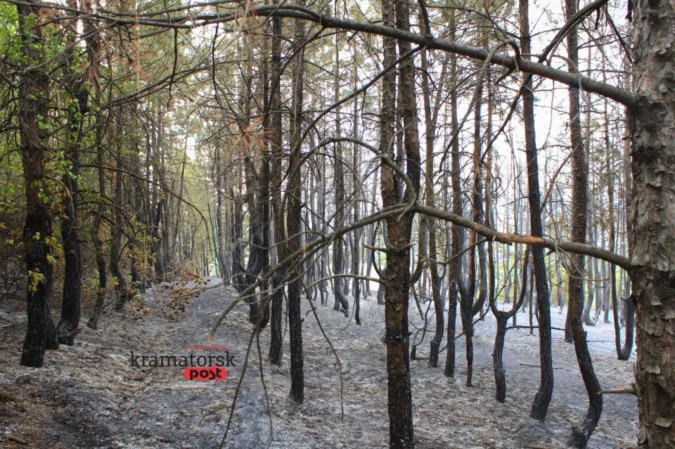 пожежа в Краматорську, горіли дерева на Білянських горах