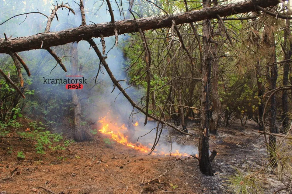 пожежа в Краматорську, горіли дерева на Білянських горах
