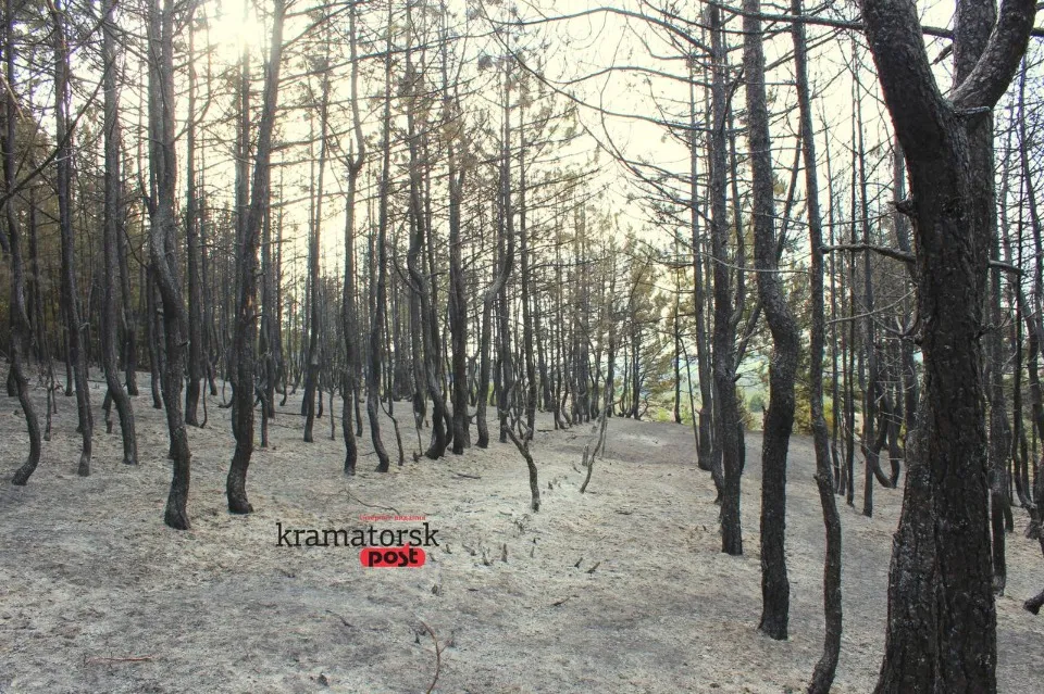 пожежа в Краматорську, горіли дерева на Білянських горах