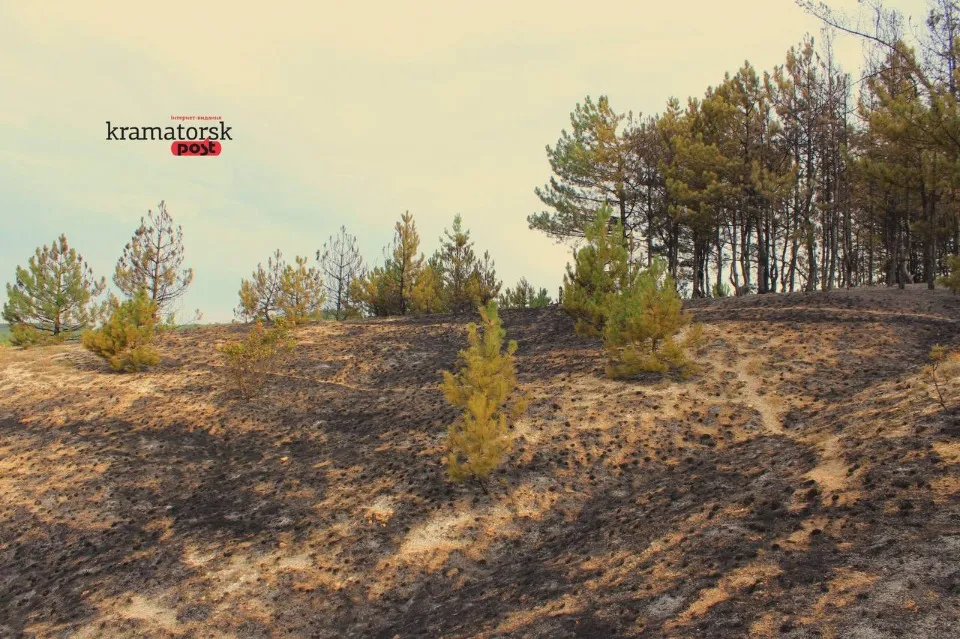 пожежа в Краматорську, горіли дерева на Білянських горах