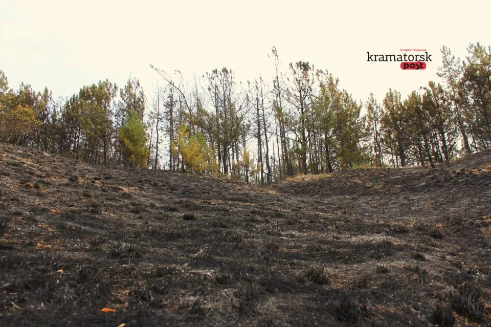 пожежа в Краматорську, горіли дерева на Білянських горах