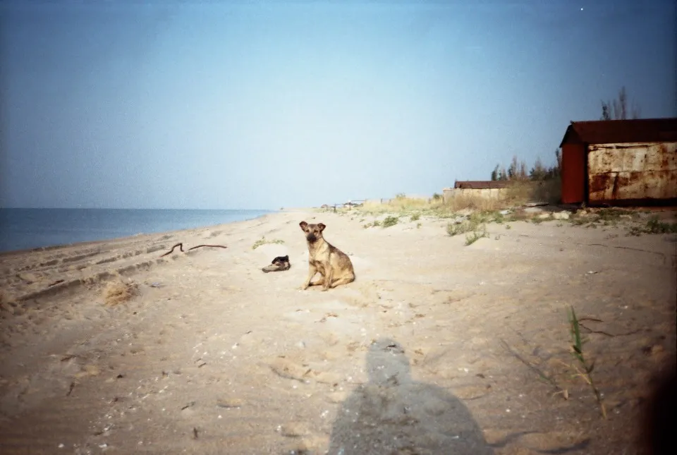 Фото: Вадим Дубковський