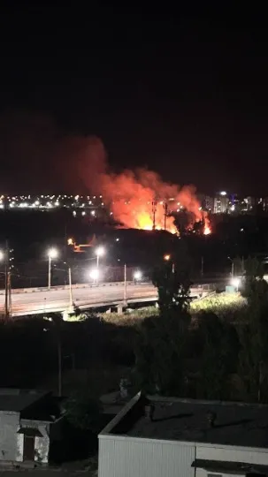 пожежа в найбільшому парку Маріуполя