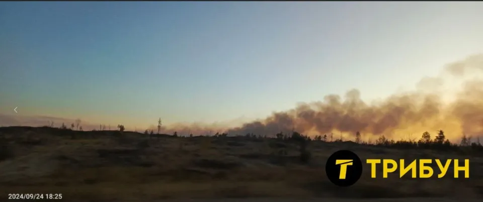 Смолянинове