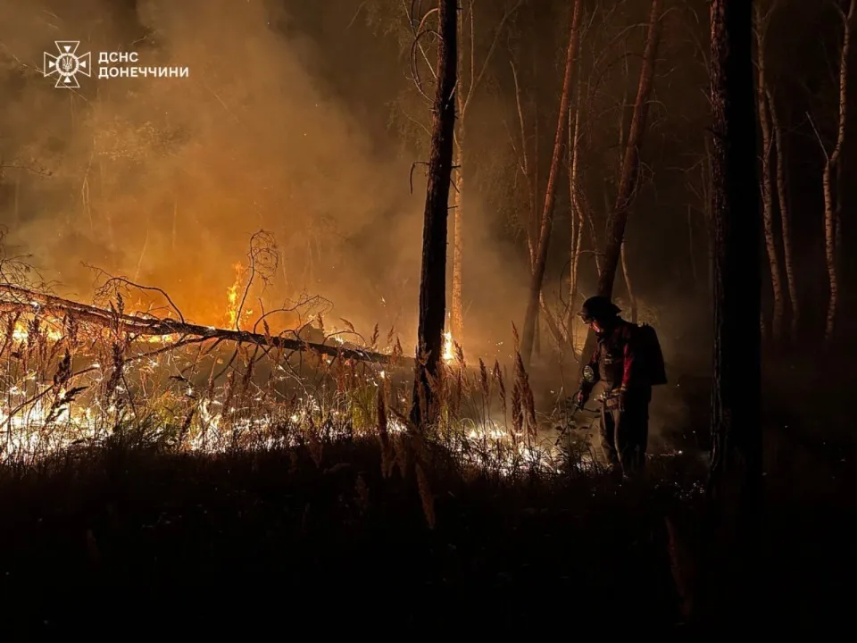 ДСНС Донеччини