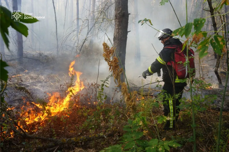 ДСНС Донеччини
