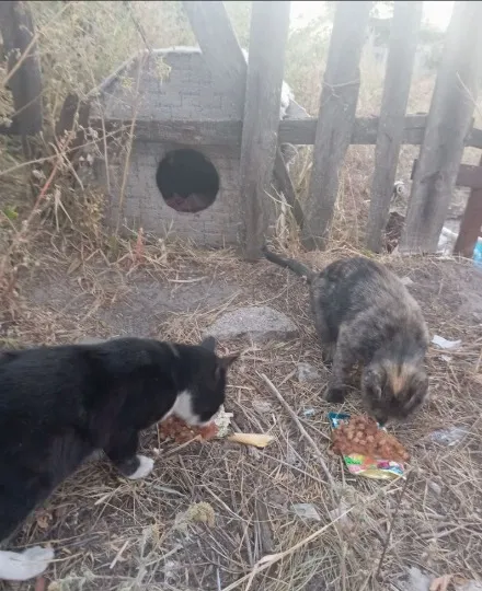 Старобільськ