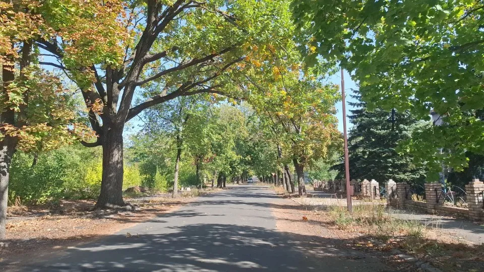 Сіверськодонецьк (Сєвєродонецьк), вул. 8 березня, осінь 2024