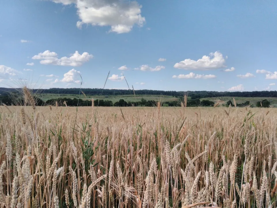 Місто Попасна. Фото: Аліна Михайленко