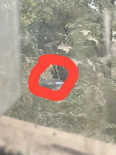 Луганськ убивства