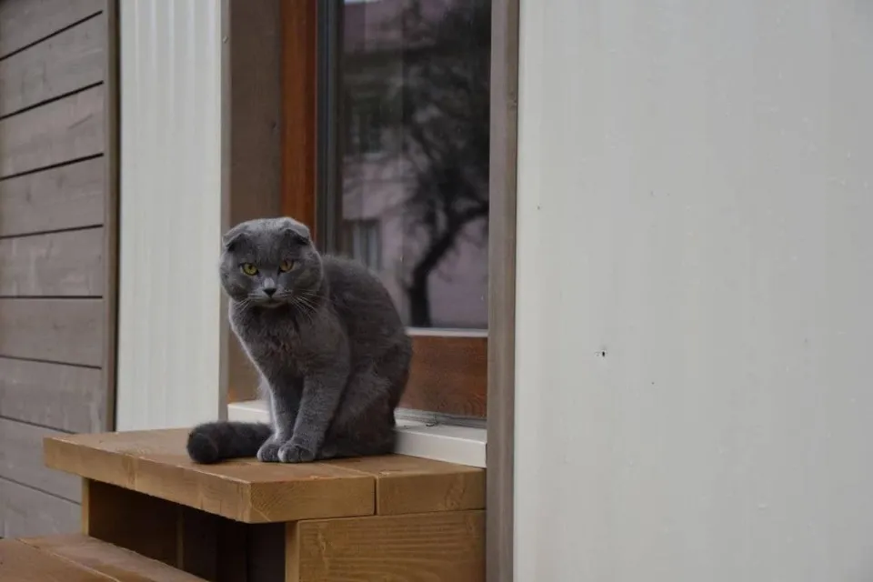 Модульне містечко у селі Нересниця на Закарпатті для ВПО