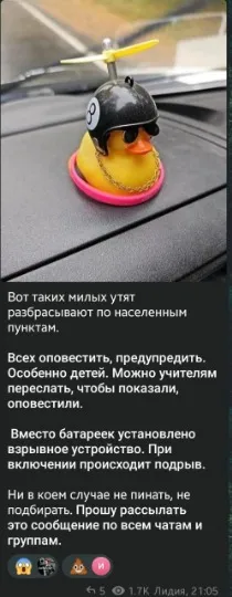 скрін із чата Луганська про замінованих каченят