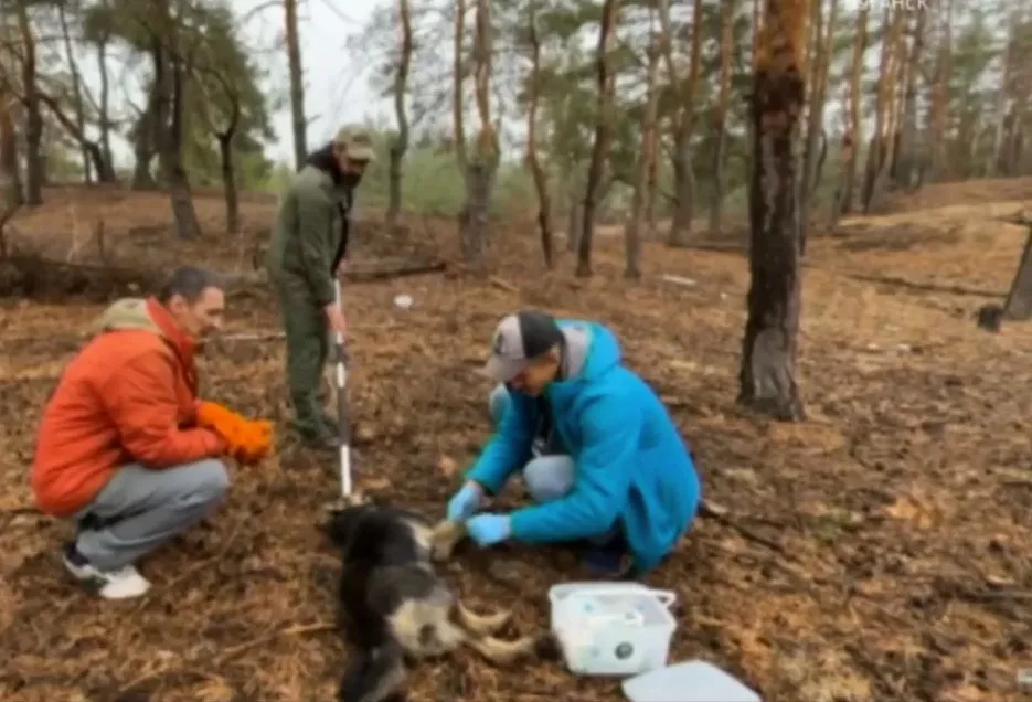 Сєвєродонецьк