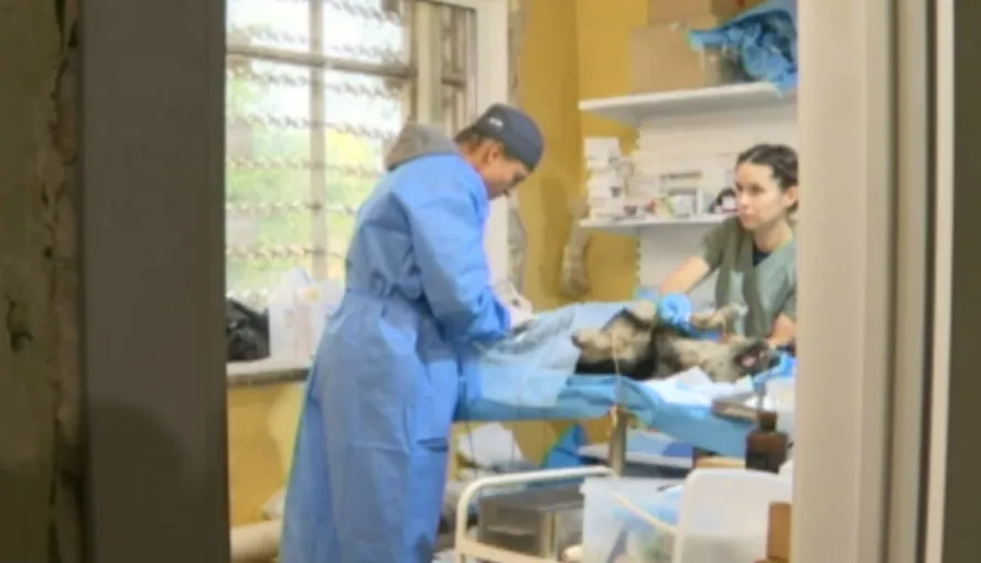 Сєвєродонецьк