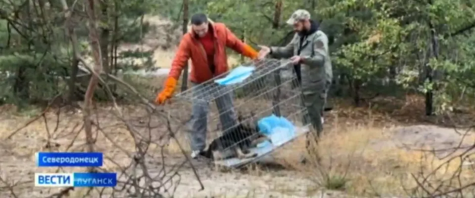 Сєвєродонецьк