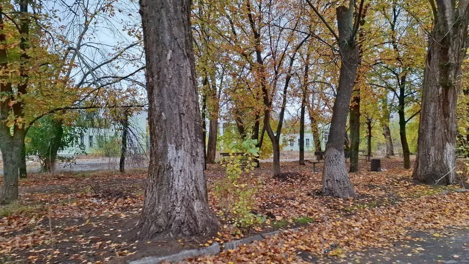 Рубіжне