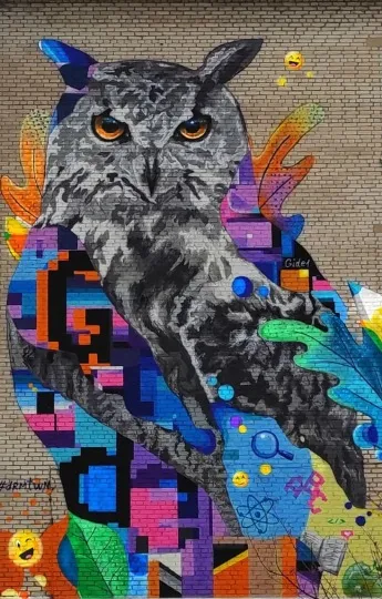 Сова мудрості Сєвєродонецьк