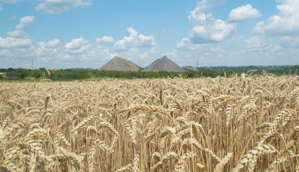 Терикони Донбасу