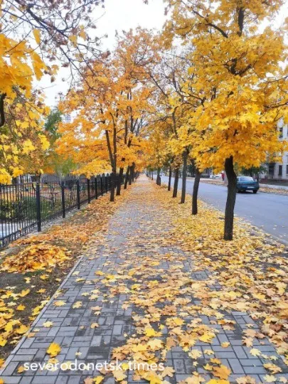 Сіверськодонецьк, Сєвєродонецьк. Проспект Центральний