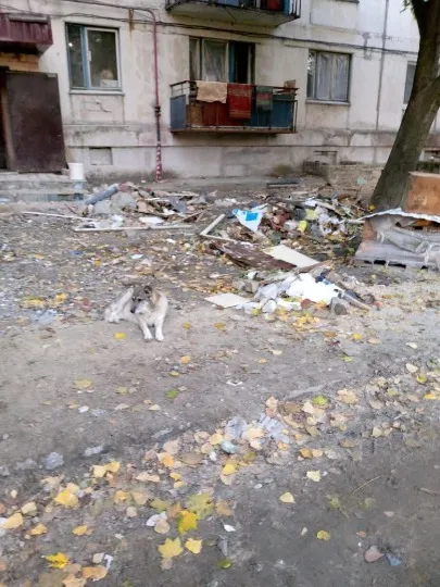 Рубіжне, сміття