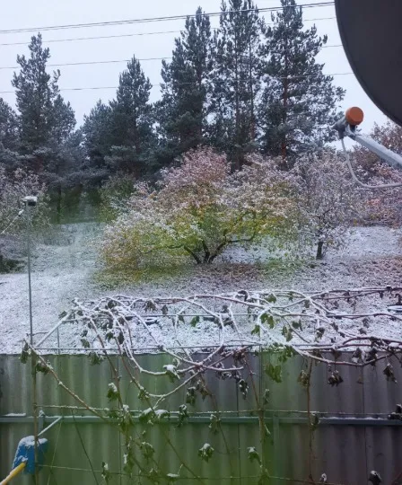 перший сніг в Старобільську