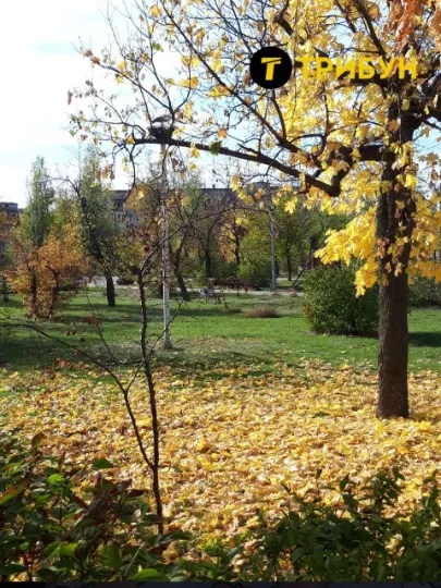 окупований Сіверськодонецьк