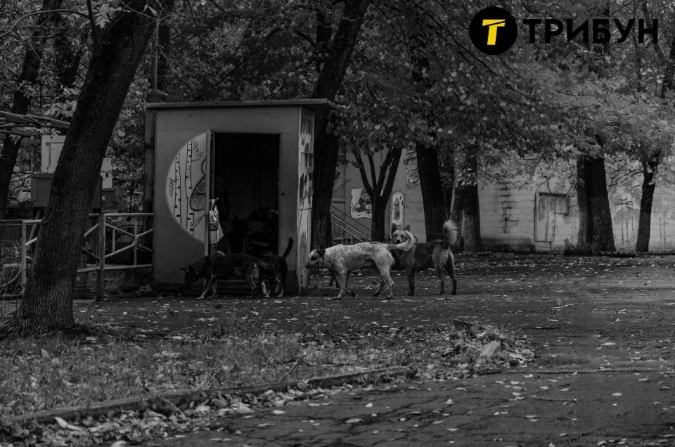 Алчевськ, парк Перемоги