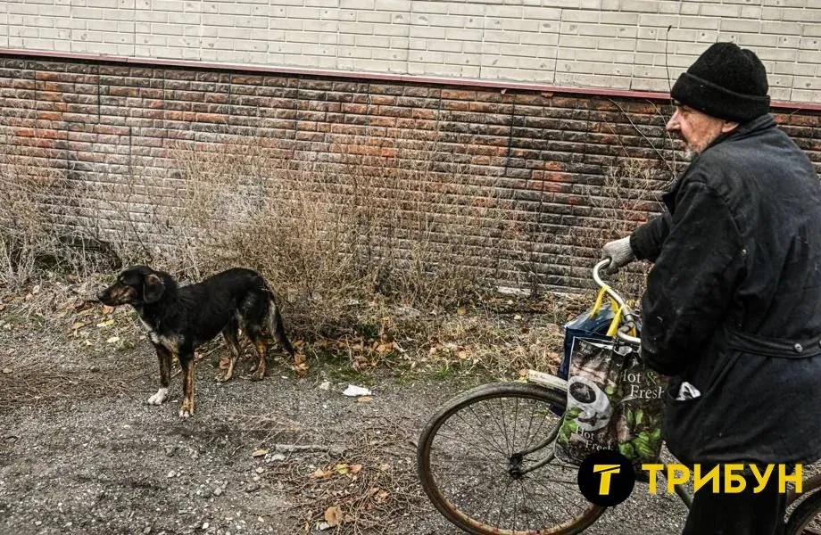 селидове листопад 2024