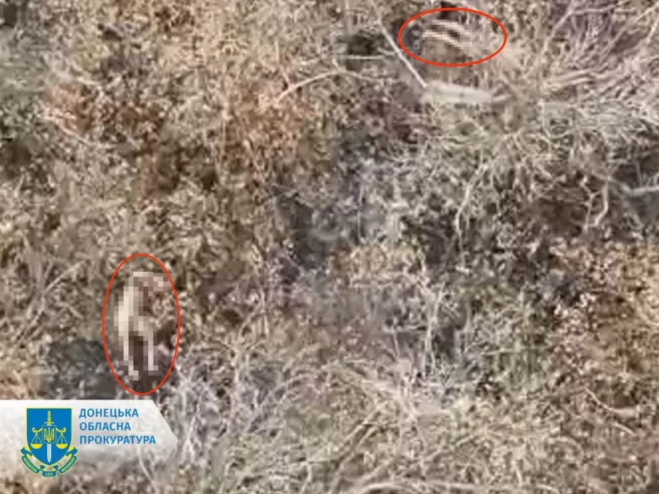 розстріл військовополонених ЗСУ на Покровському напрямку