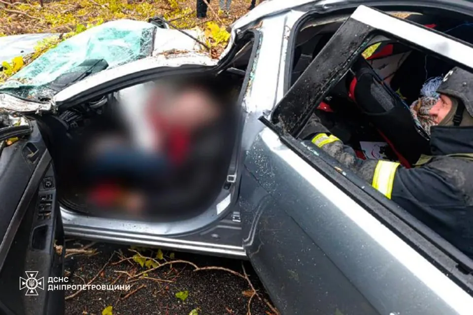 дерево впало на авто в Нікополі