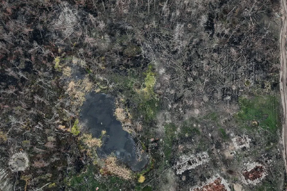 Серебрянський ліс, Кремінна