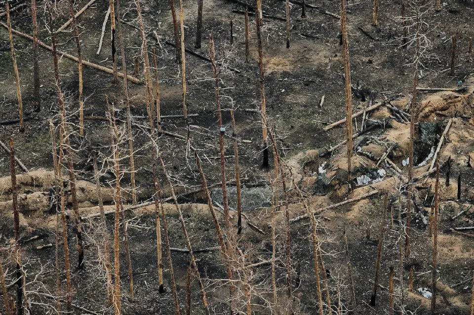 Серебрянський ліс, Кремінна