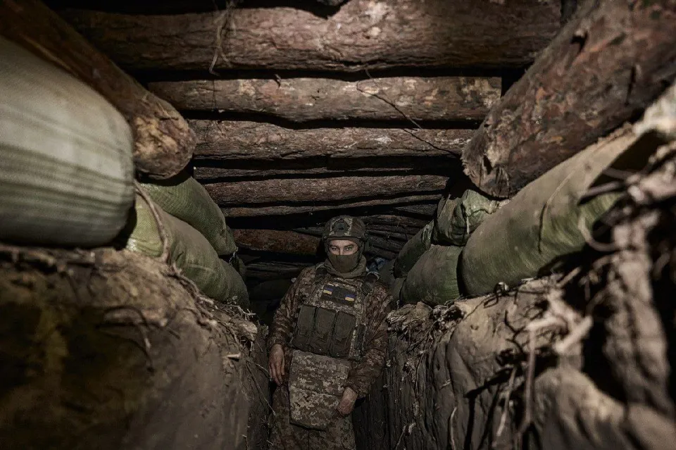 Серебрянський ліс