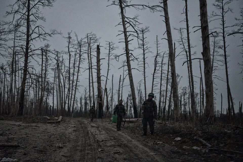 Серебрянський ліс