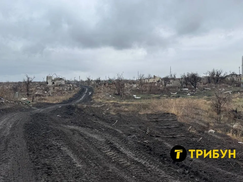 мар'їнка 2024