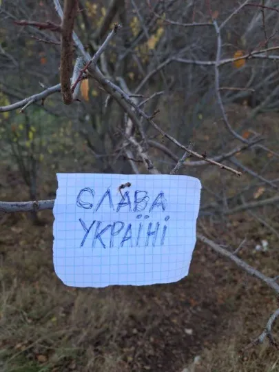 Жовта стрічка